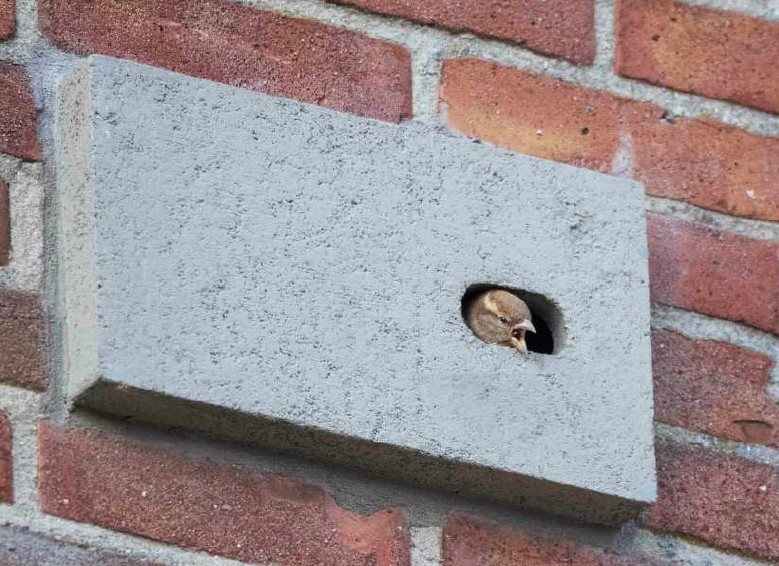 natuurinclusief metselwerk-nestkastje